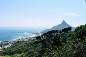 View along the Pipe Track