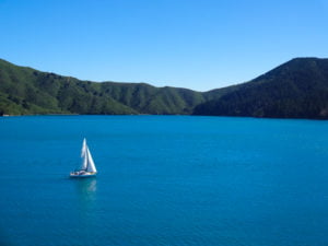 sailboat from the ferry