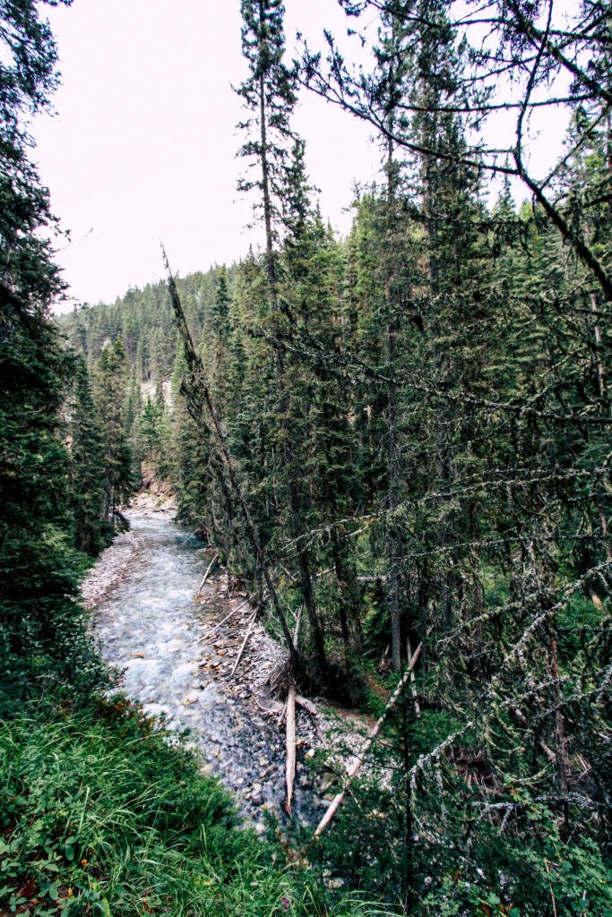 Johnston Canyon - Banff - Young Wayfarer