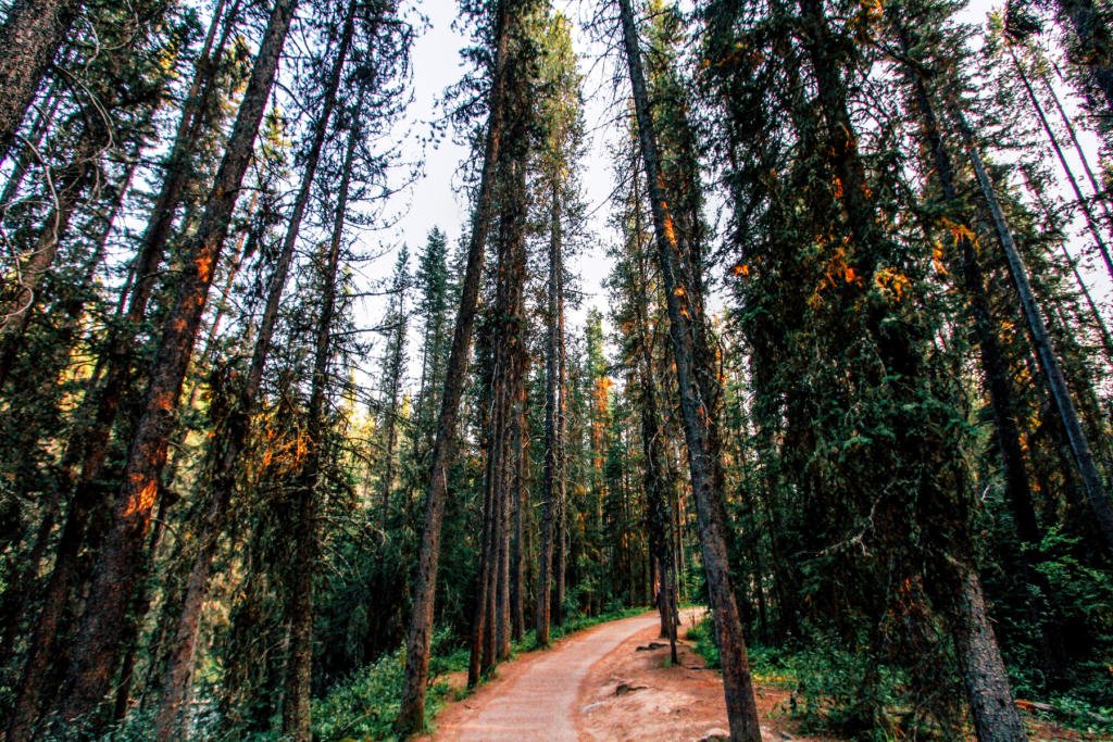 Johnston Canyon - Banff - Young Wayfarer