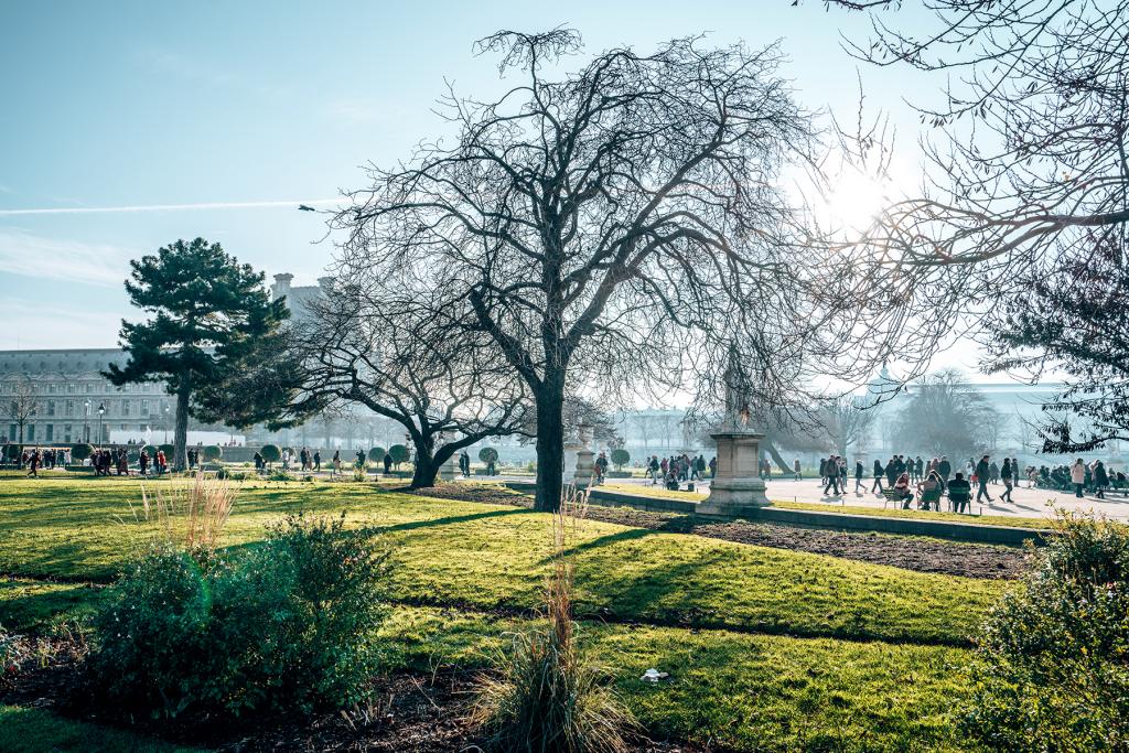 Paris - Young Wayfarer - Tuileries Gardens