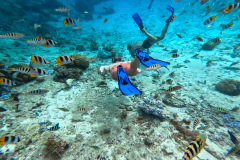 DCIM100GOPROGOPR4450.JPG
