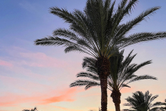 20230505-IMG_5310_1800