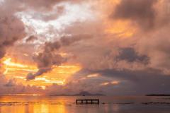 20240605-DSC09832-scaled