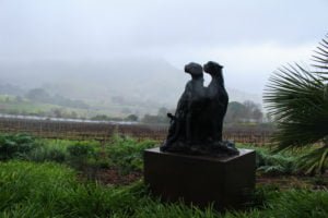 Stellenbosch: Cape Town’s Wine Region