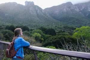 Cape Town Gems