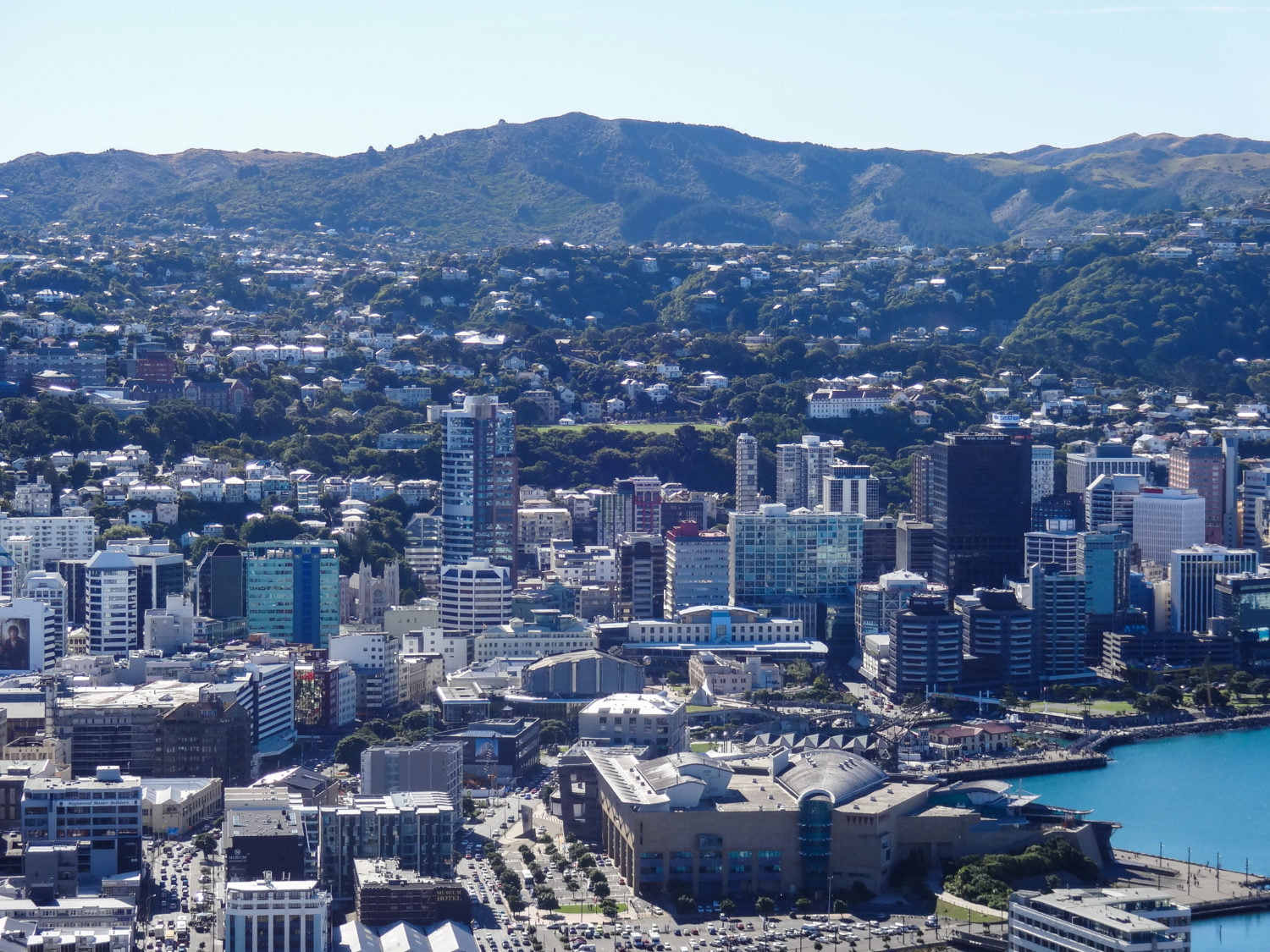 Guide to Wellington, New Zealand • Young Wayfarer