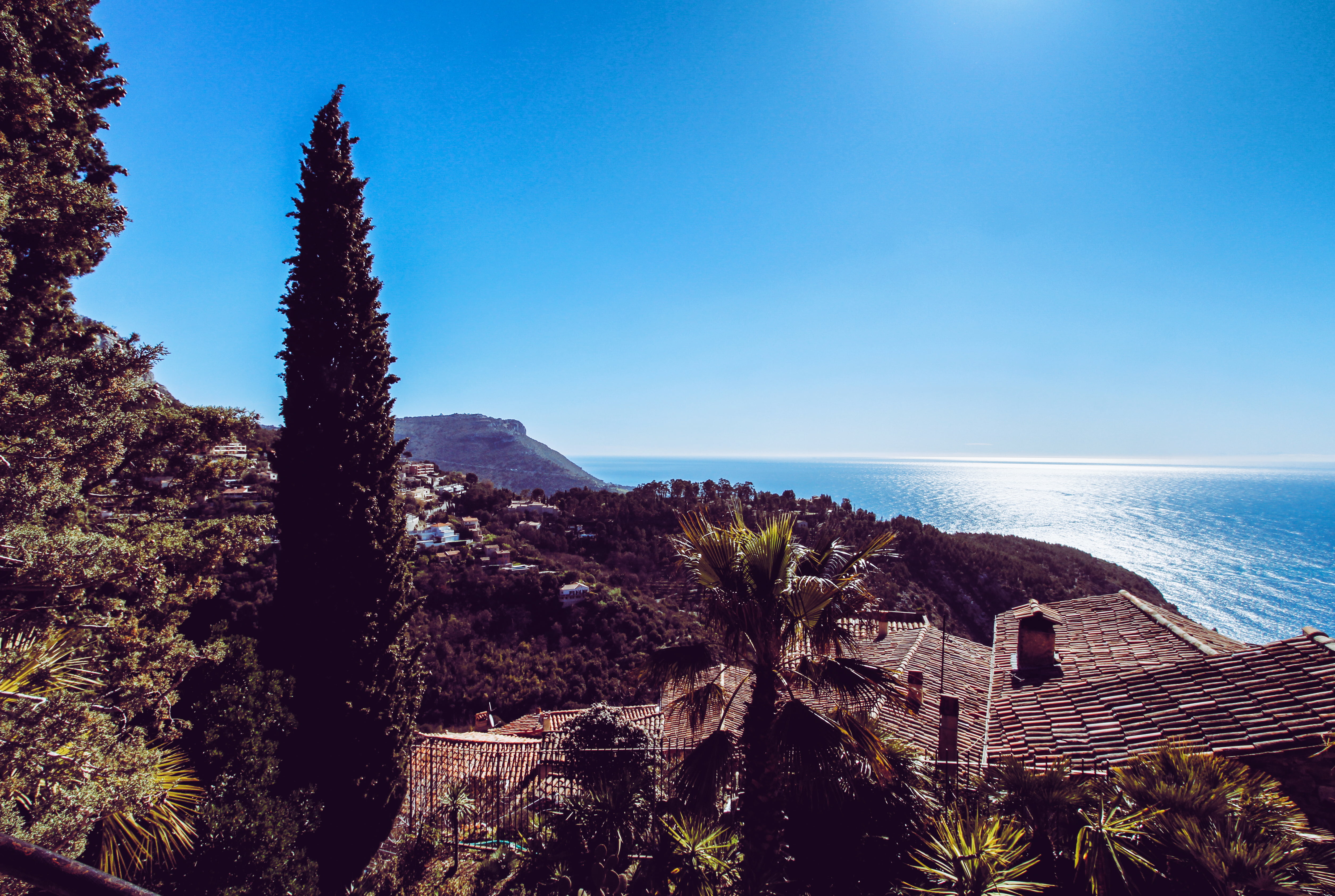 Exotic Gardens in Eze France