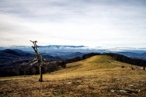 How to Spend One Day in Asheville