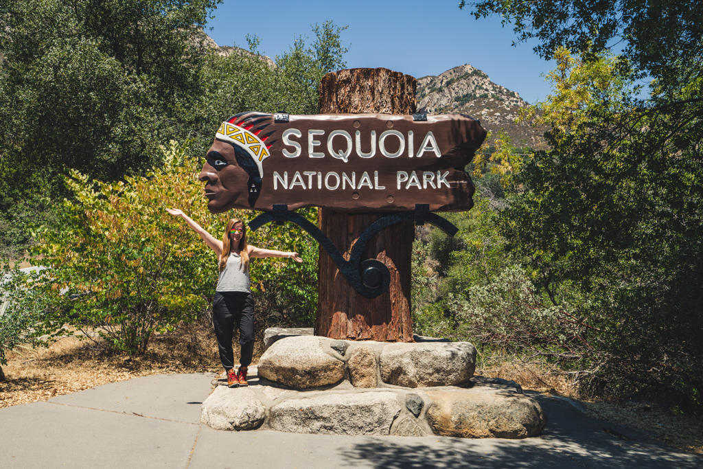 Sequoia National Park Trip Itinerary & Logistics