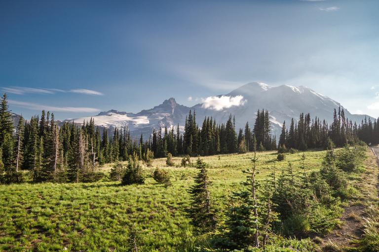 Hiking Mount Fremont Lookout in Mount Rainier National Park • Young ...