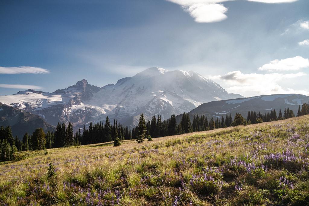 Mount Rainier, Washington