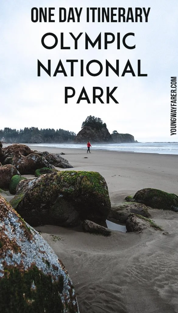 Young Wayfarer - Olympic National Park