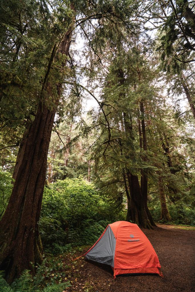 Young Wayfarer - Mora Campground