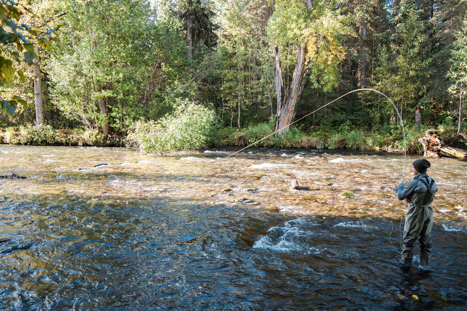 The Kenai Peninsula • Young Wayfarer