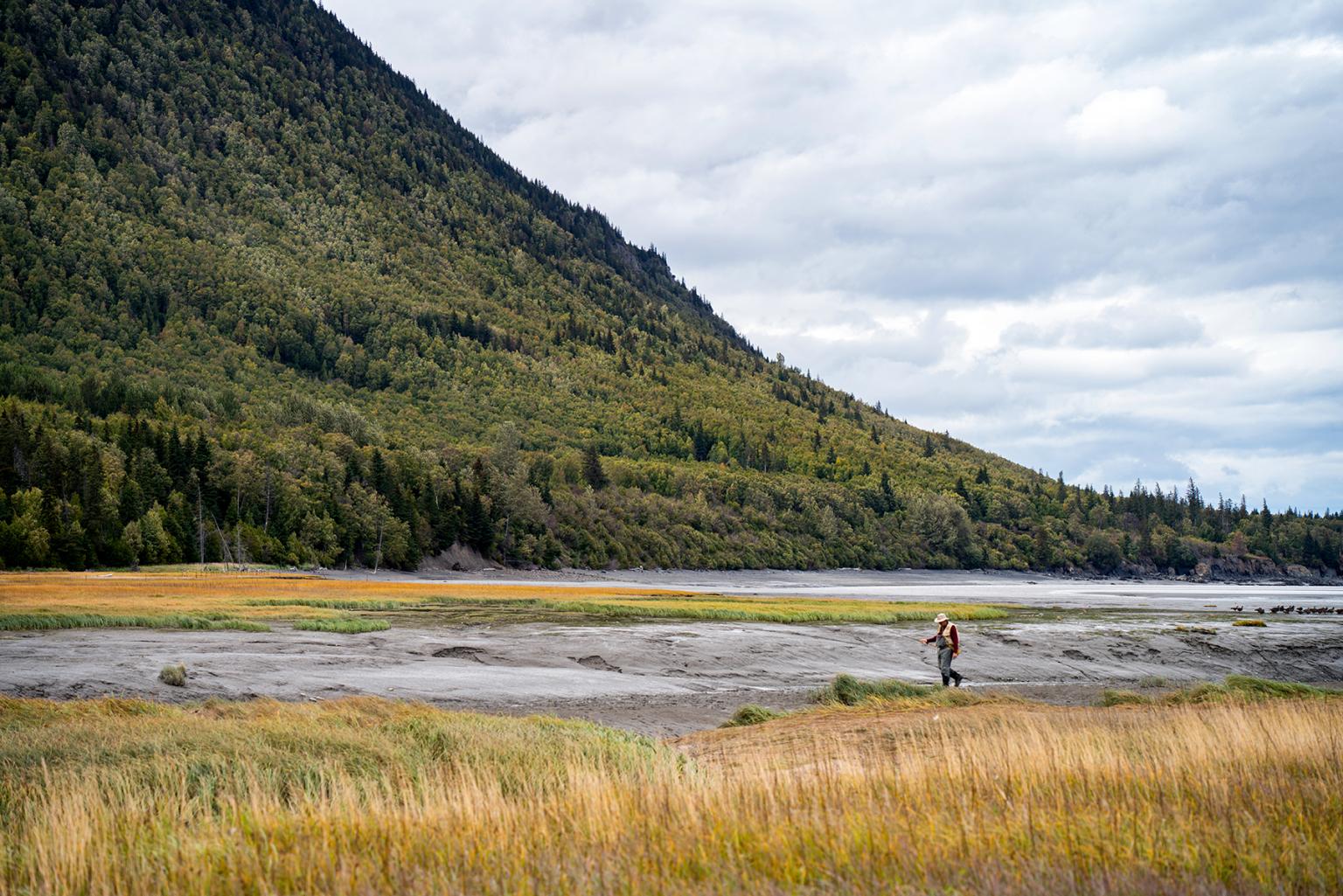 The Kenai Peninsula