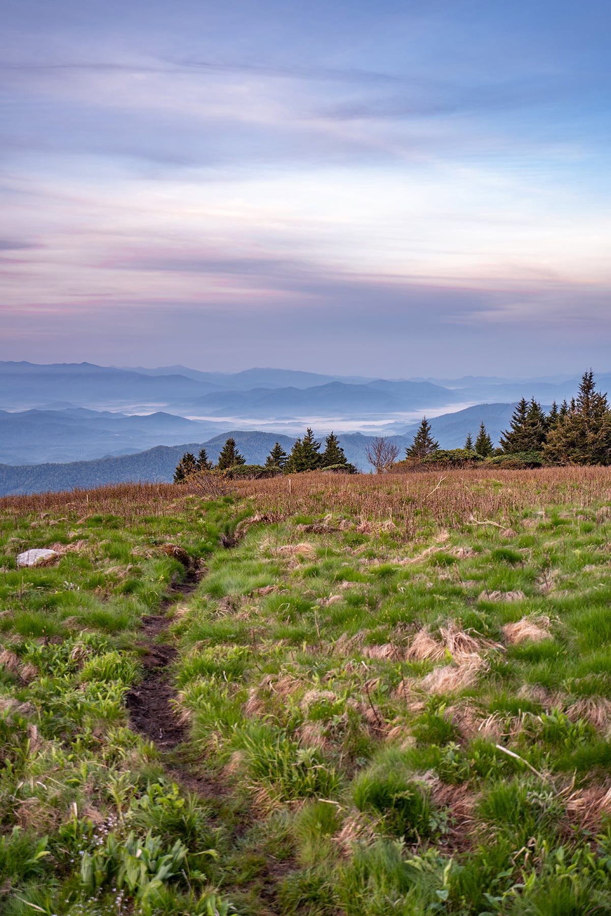 Backpacking Grassy Ridge Bald • Young Wayfarer