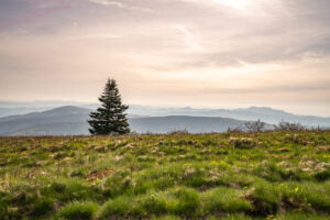 Backpacking Grassy Ridge Bald