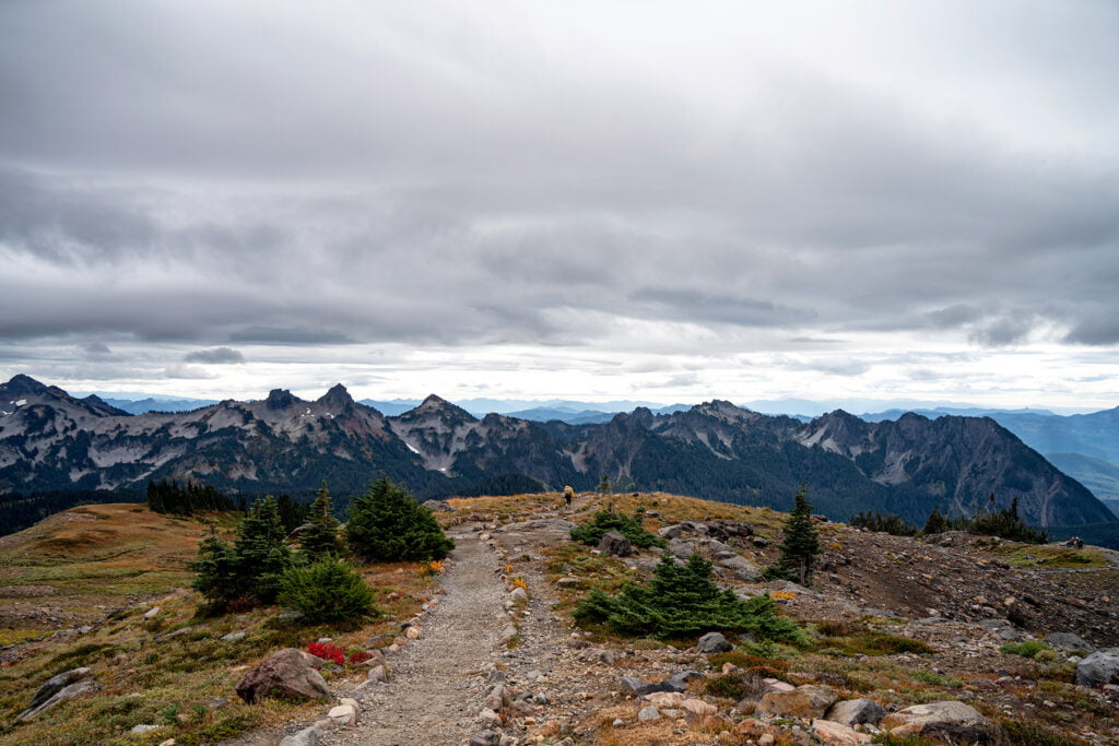 Hiking the Skyline Trail in Mount Rainier National Park