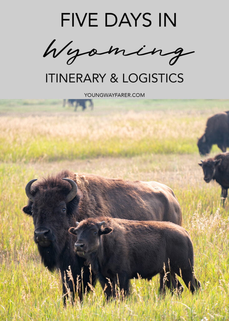 Young Wayfarer - Five Days in Wyoming - Itinerary & Logistics
