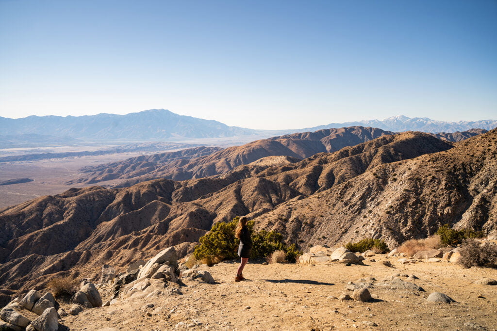 How to Spend One Day in Joshua Tree National Park