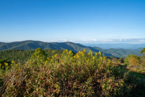 Backpacking Wayah Gap to Siler Bald 