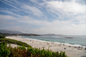 Two Day Itinerary for Monterey, California