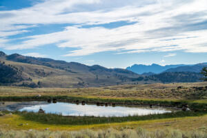 Two-Day Yellowstone Itinerary: Must-See Stops In and Around the Park