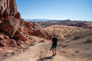 Day Trip to Valley of Fire State Park